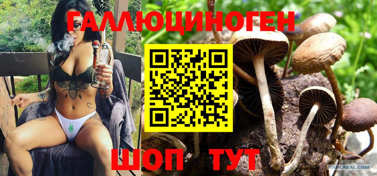 Псилоцибиновые грибы мицелий  Вход с VPN  Псилоцибиновые грибы мухоморы  Солнечногорск 
