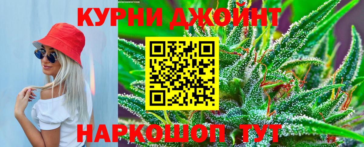 Конопля гибрид Солнечногорск